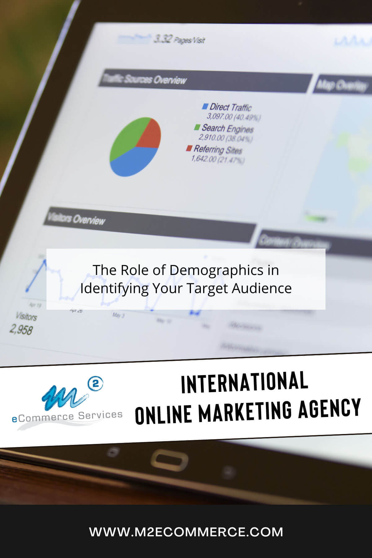 The Role of Demographics in Identifying Your Target Audience Pinterest Image
